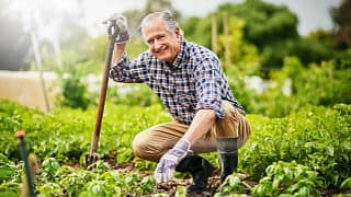 senior man gardening.jpg