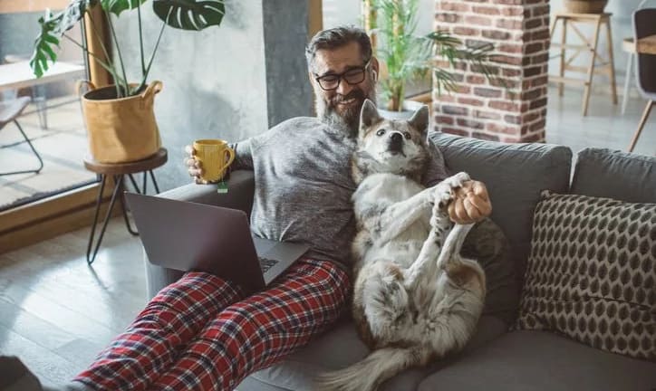 man and dog on couch with laptop mUnTuRP.width .jpg