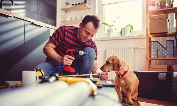 man and dog kitchen home renovation.width .jpg