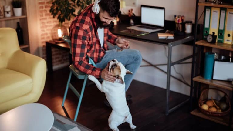 man work from home with dog.width .jpg