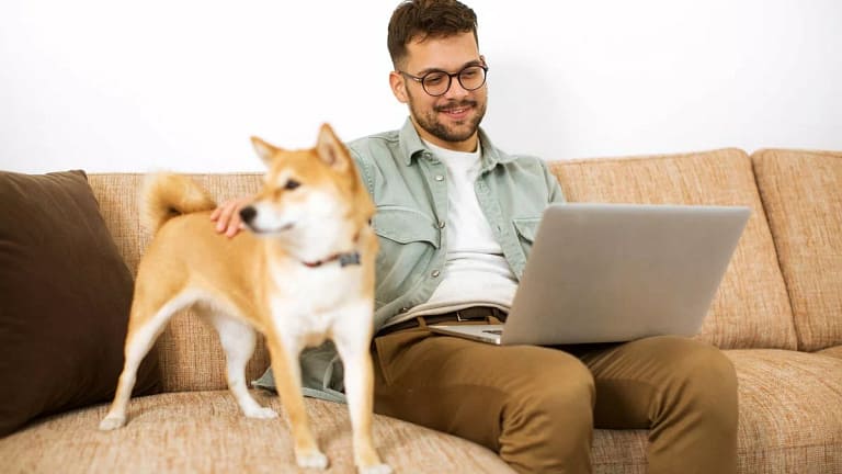 Man using laptop with his Shiba Inu dog besid.width VTxIaTW.jpg