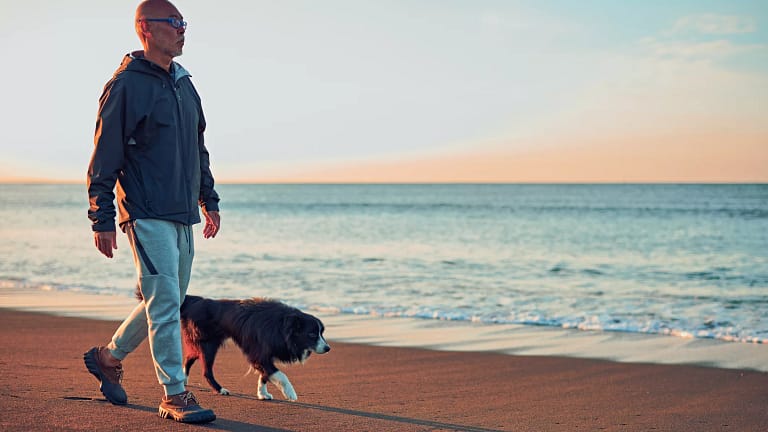 person walking on the beach with a dog.jpg