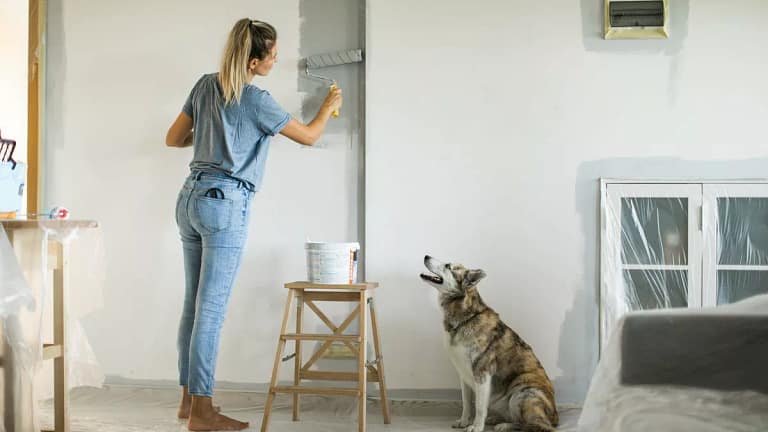 person painting wall in room zOZYi.width .jpg