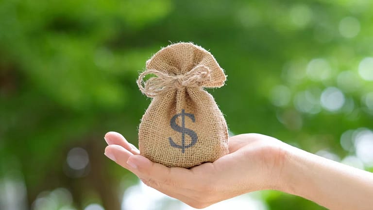 gettyimages money bag in palm.jpg