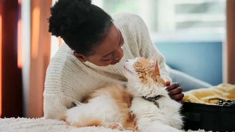 Person giving their pet cat affection. CuGSlY.width .jpg