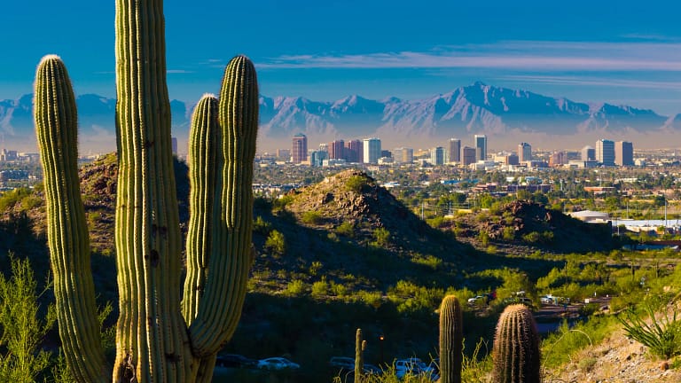 getty saguaro cactus with phoenix skyline in distance.jpg